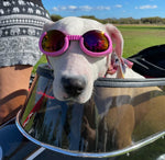 Surf Dog Australia Doggles Doggles - Dog Sunglasses