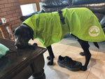 "Superfit" Raincoat Surfdog Australia