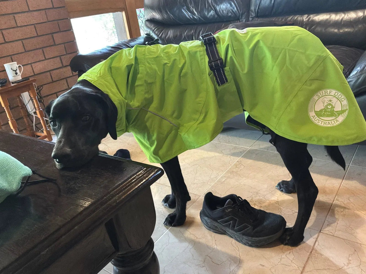 "Superfit" Raincoat Surfdog Australia