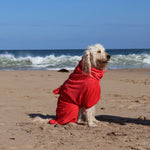 SurfDog Australia Size XL. Back 76-90cm