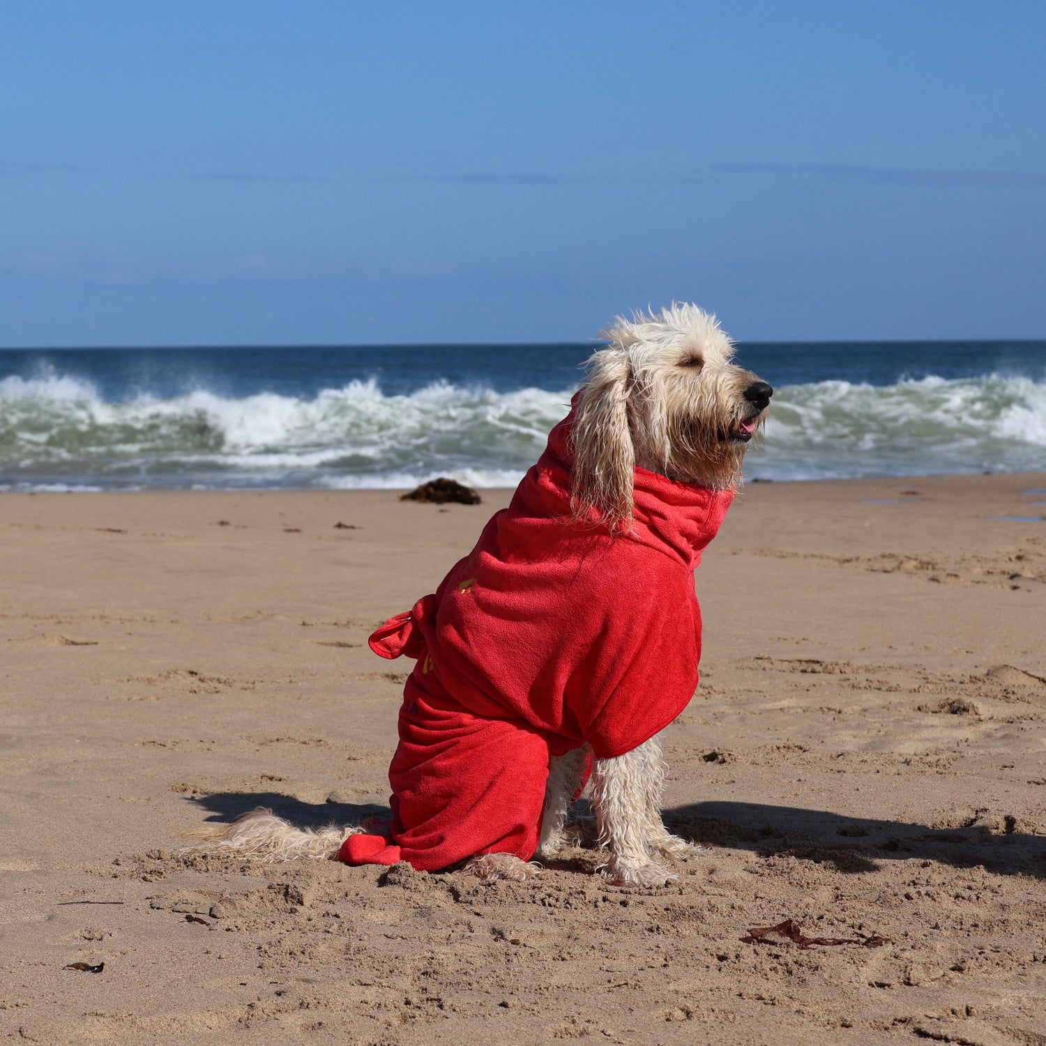 SurfDog Australia Size XL. Back 76-90cm