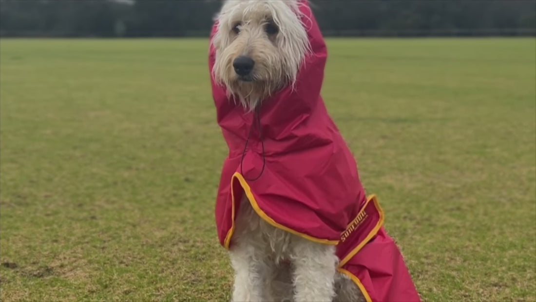 Golden retriever rain jacket clearance