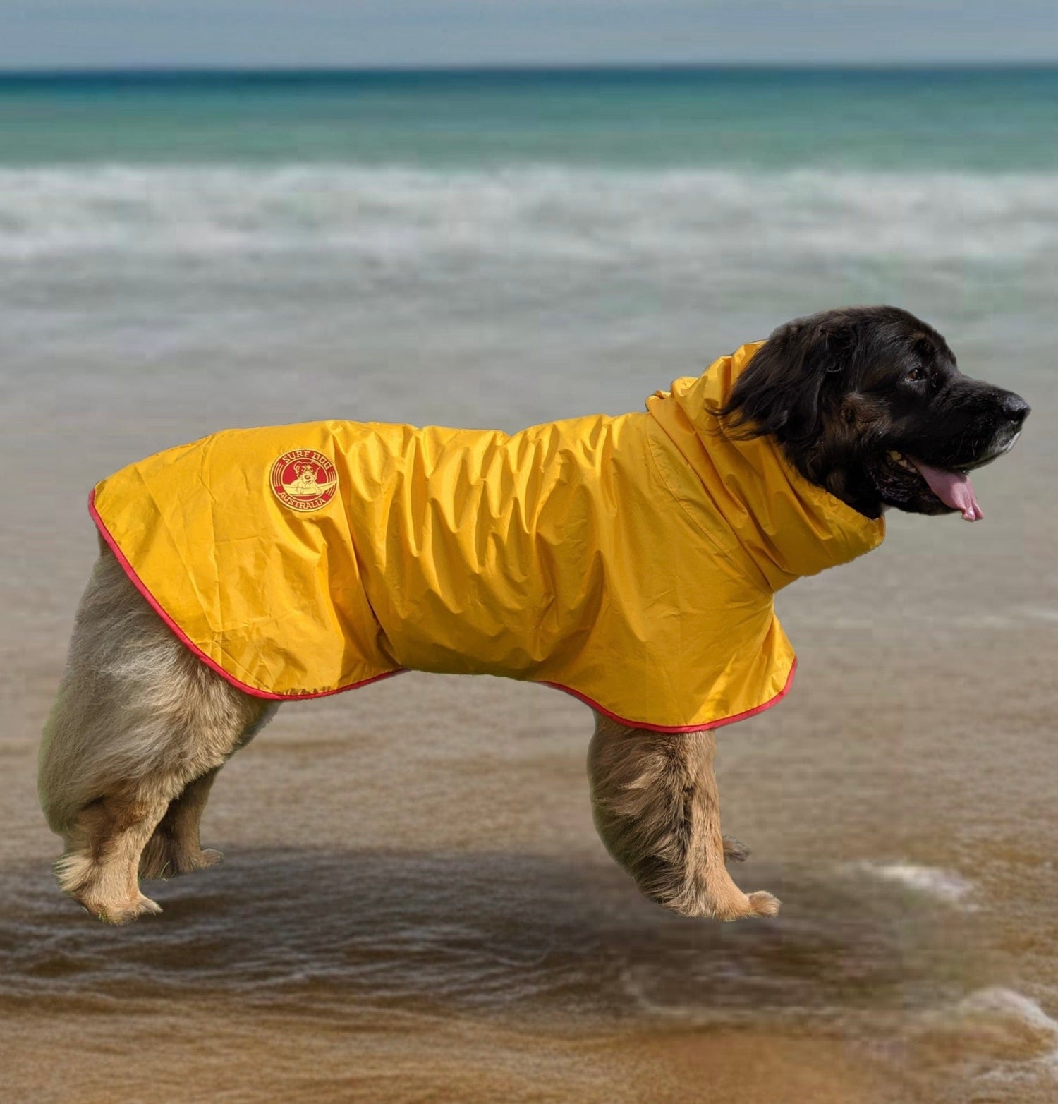 Raincoats for Dogs Lightweight Easy Walking, Comfort - multiple sizeS Surfdog Australia