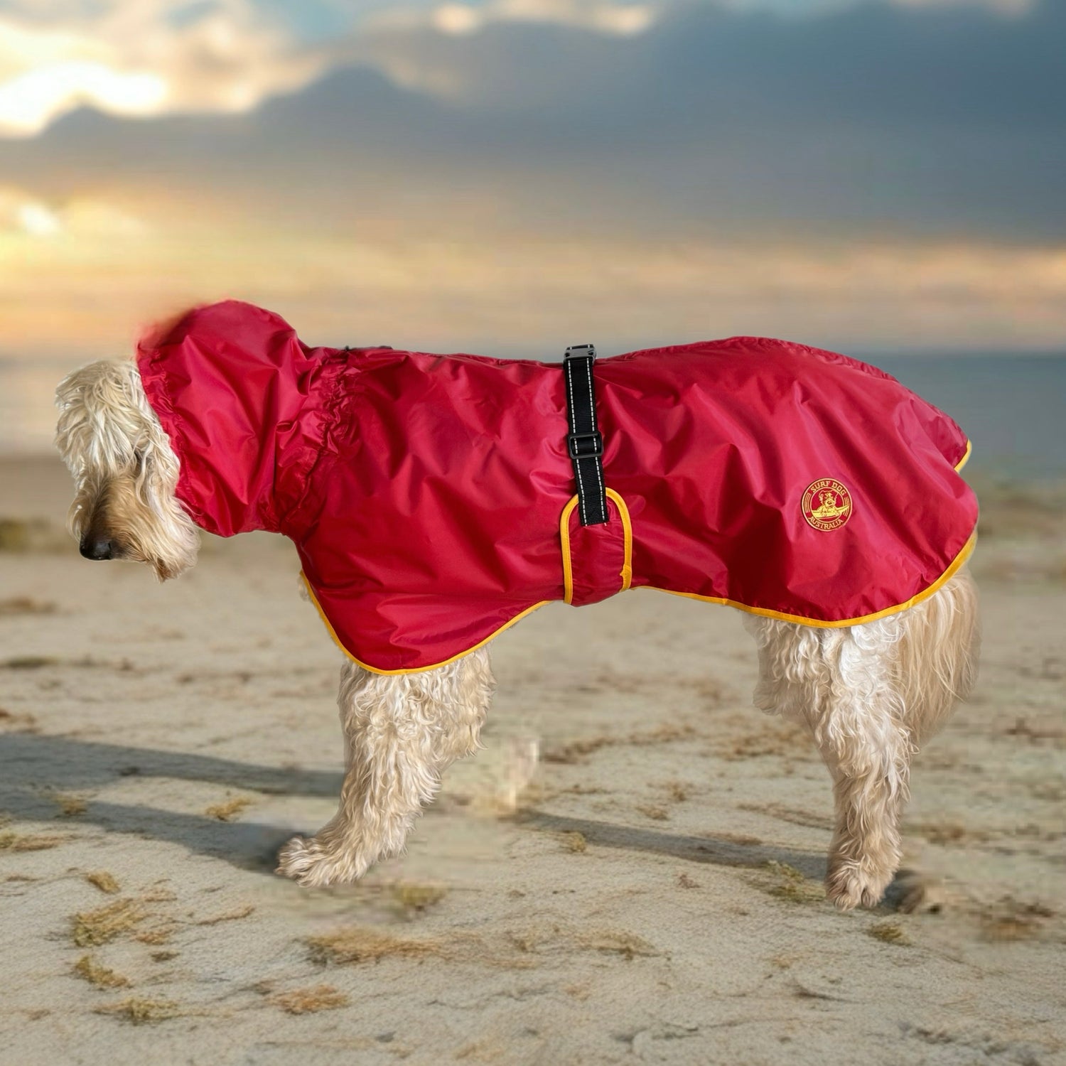 SurfDog Australia Raincoats for dogs Raincoats for Dogs Free walk RainFREE