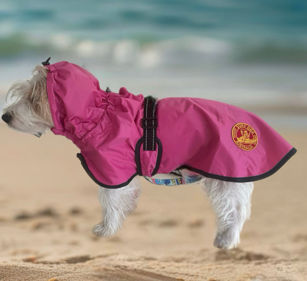 SurfDog Australia Raincoats for dogs Raincoats for Dogs Free walk RainFREE