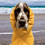 SurfDog Australia Raincoats for dogs Raincoats for Dogs FREE walk