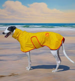 SurfDog Australia Raincoats for dogs Raincoats for Dogs Free walk RainFREE