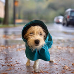 Surfdog Australia Raincoats for dogs Raincoats for Dogs -Super