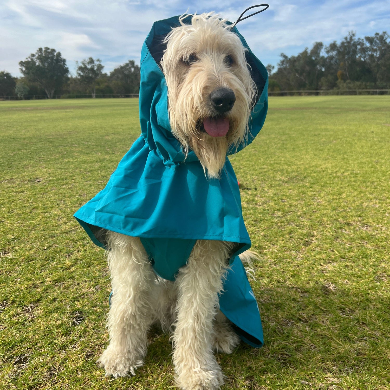 Surfdog Australia Raincoats for Dogs -Super