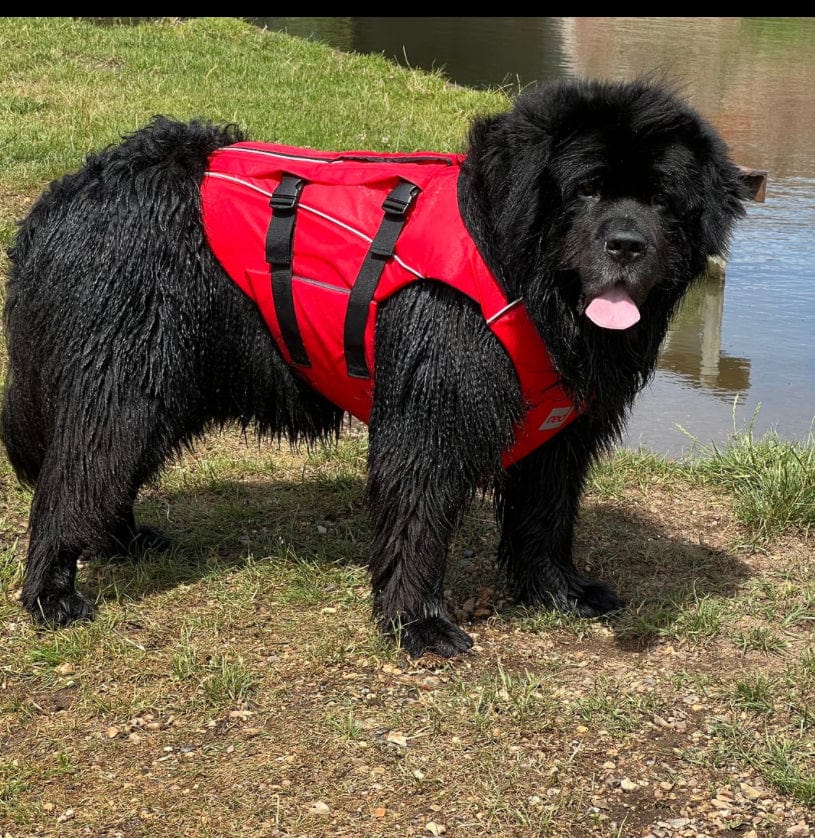 Dog Lifejackets full chest and underbody support direct from Western Australia Surfdog Australia