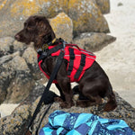 Surfdog Australia Dog Lifejacket Buoyancy Aid
