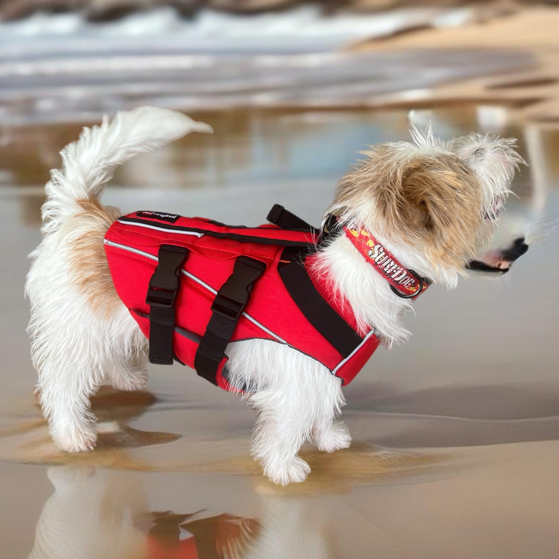 Surfdog Australia Dog Lifejacket Buoyancy Aid