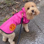 SurfDog Australia Dog Raincoats
