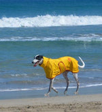 SurfDog Australia Raincoats for Dogs FREE walk