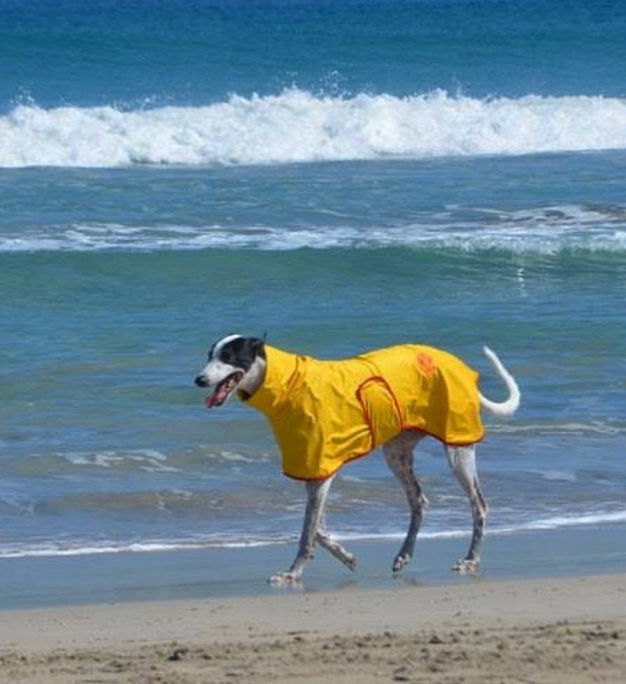 SurfDog Australia Raincoats for Dogs FREE walk
