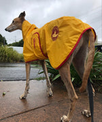 SurfDog Australia Raincoats for Dogs FREE walk