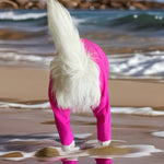 Surfdog Australia Rashie for dogs Long Sleeved Superdog