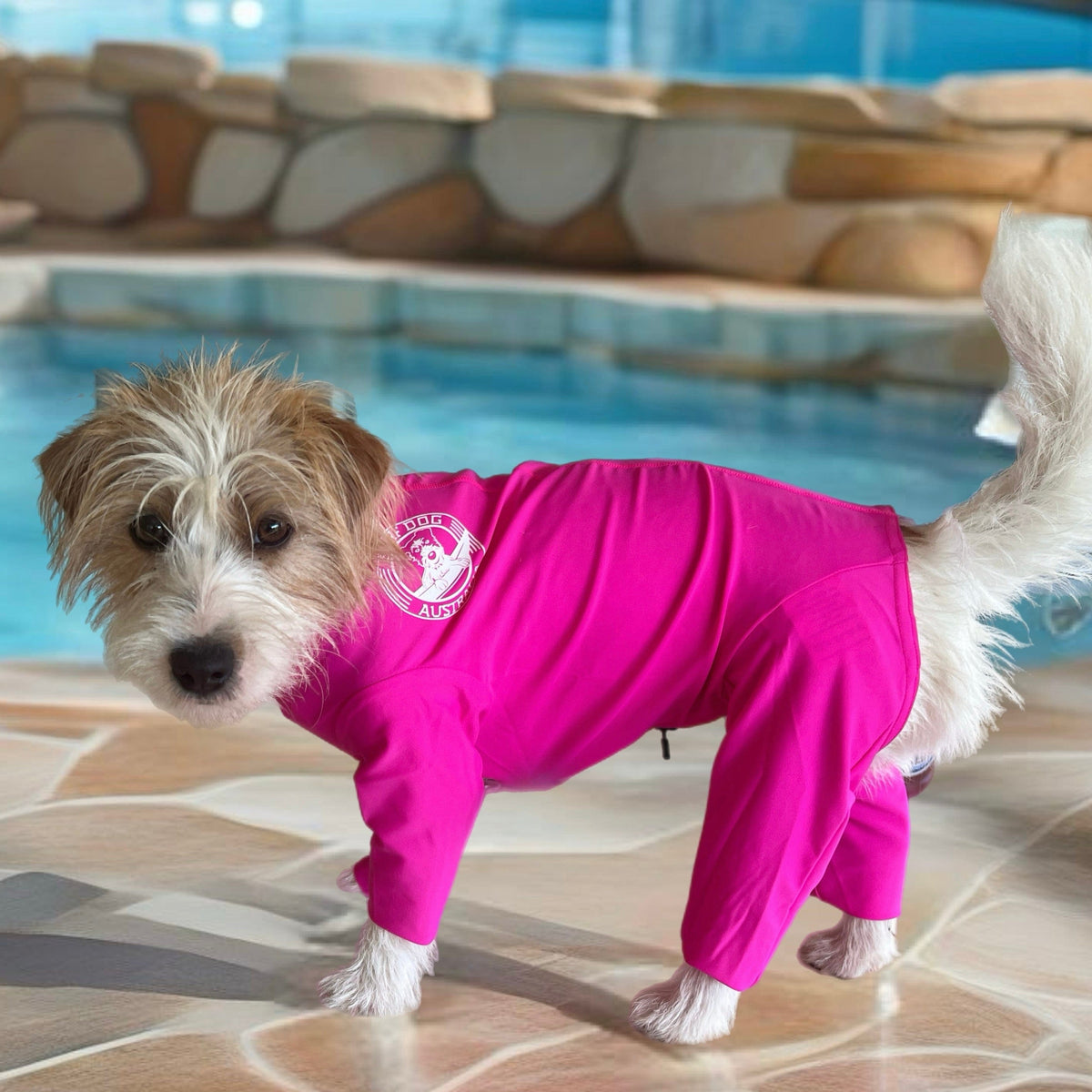 Surfdog Australia Rashie for dogs Long Sleeved Superdog