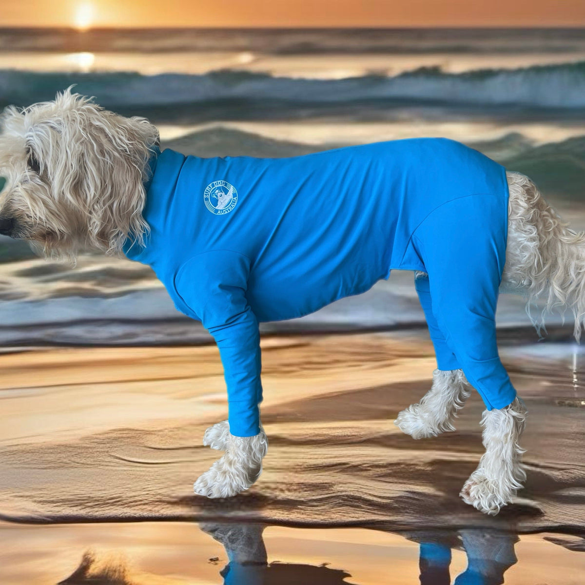 Surfdog Australia Rashie for dogs Long Sleeved Superdog