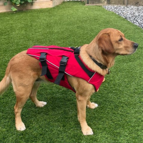 Surfdog Australia Red Dog Buoyancy Aid
