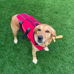 Surfdog Australia Red Dog Buoyancy Aid