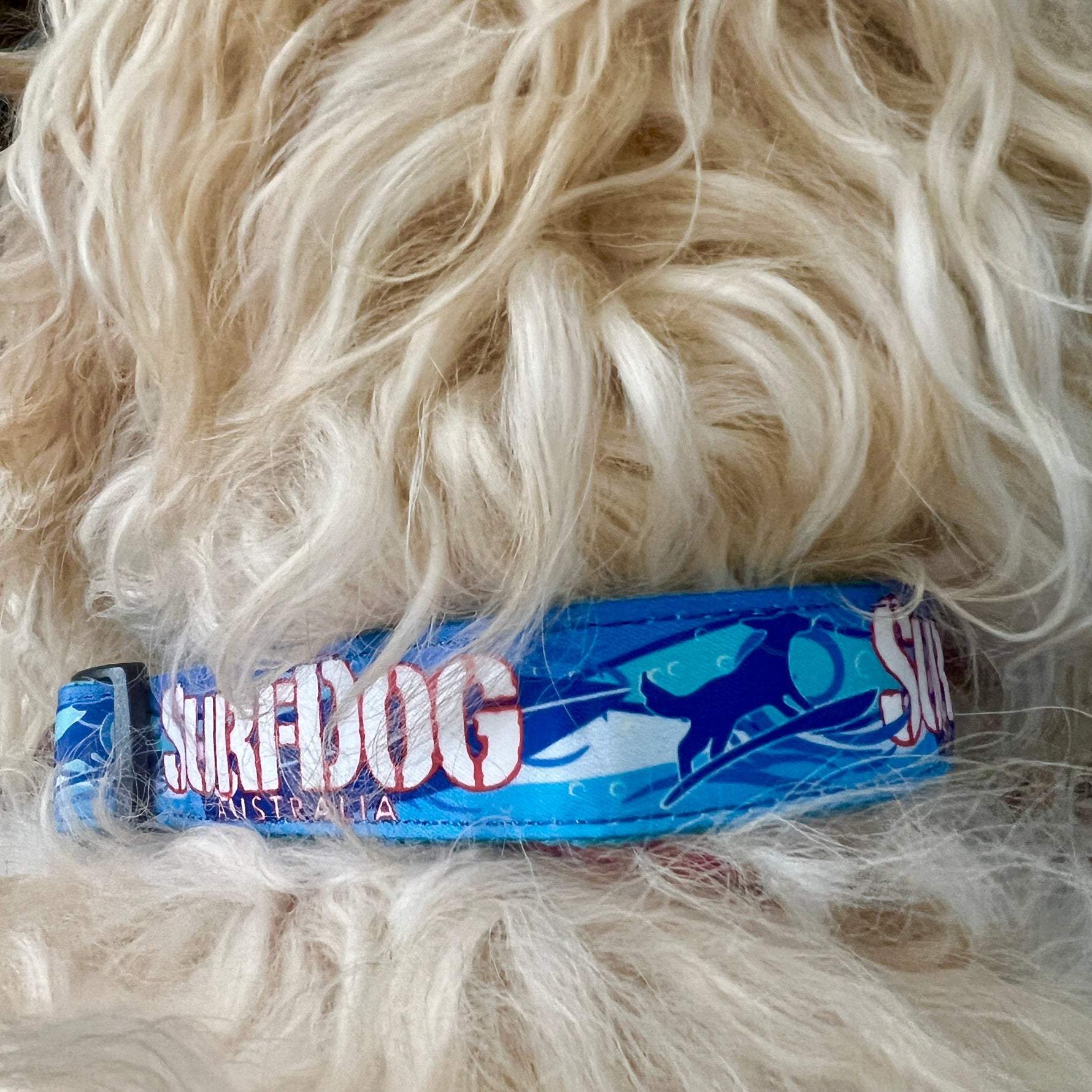 SurfDog Australia Wave Collars and Leashes