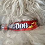 SurfDog Australia Wave Collars and Leashes