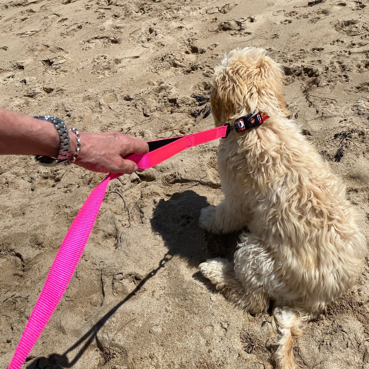 Surfdog Australia The Leash