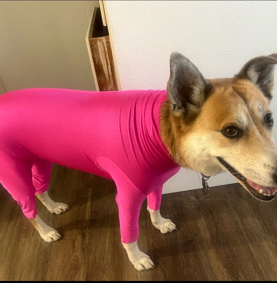 Dog Body Suit, lightweight, post surgery recovery Surfdog Australia