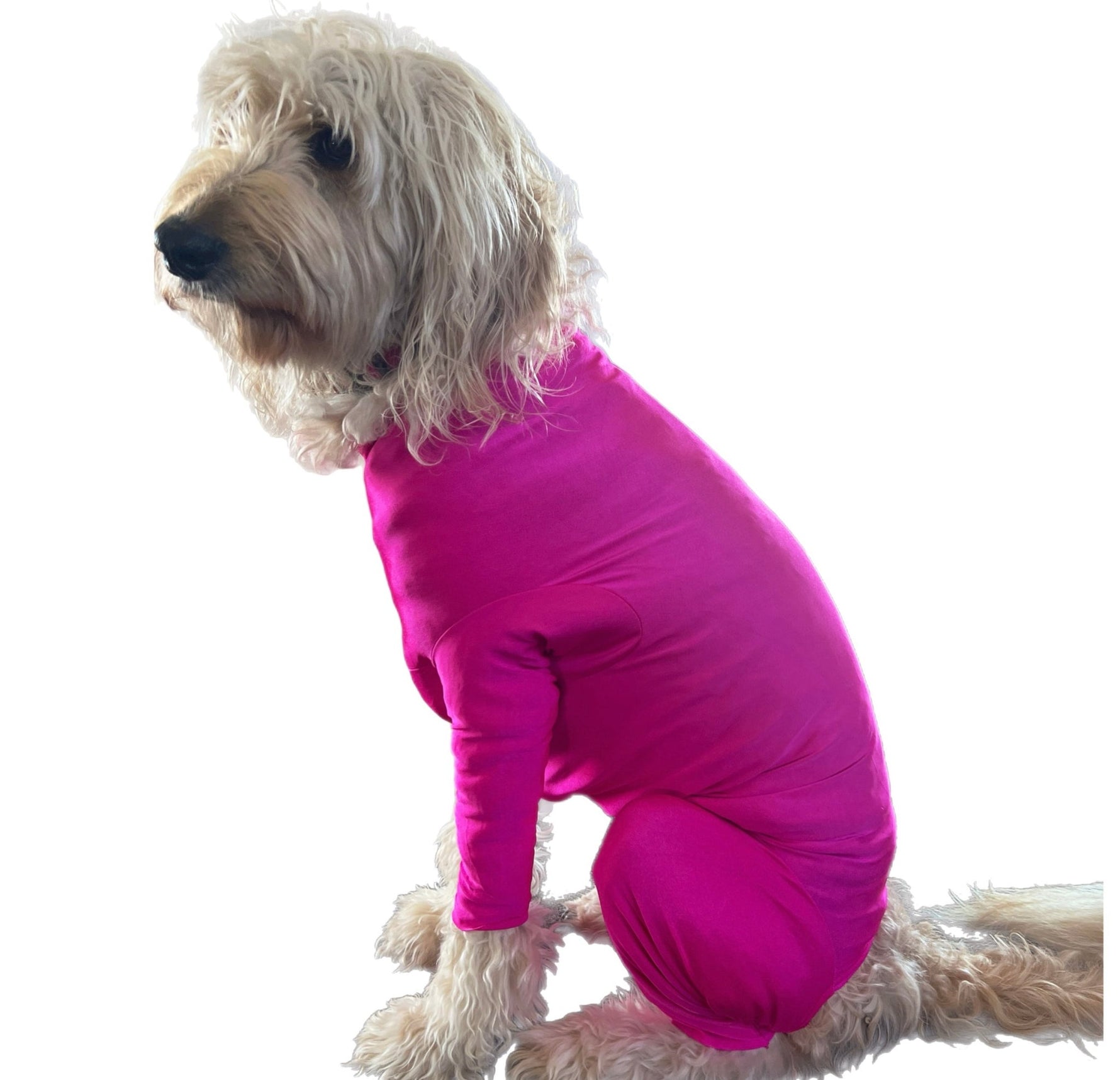 Dog Body Suit, lightweight, post surgery recovery Surfdog Australia