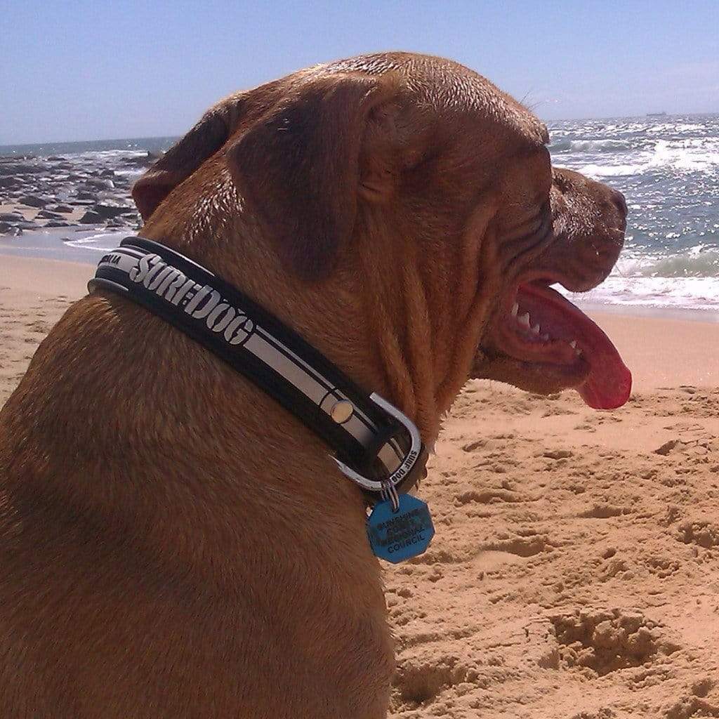Surf Dog Collars SurfDog collars - waterproof