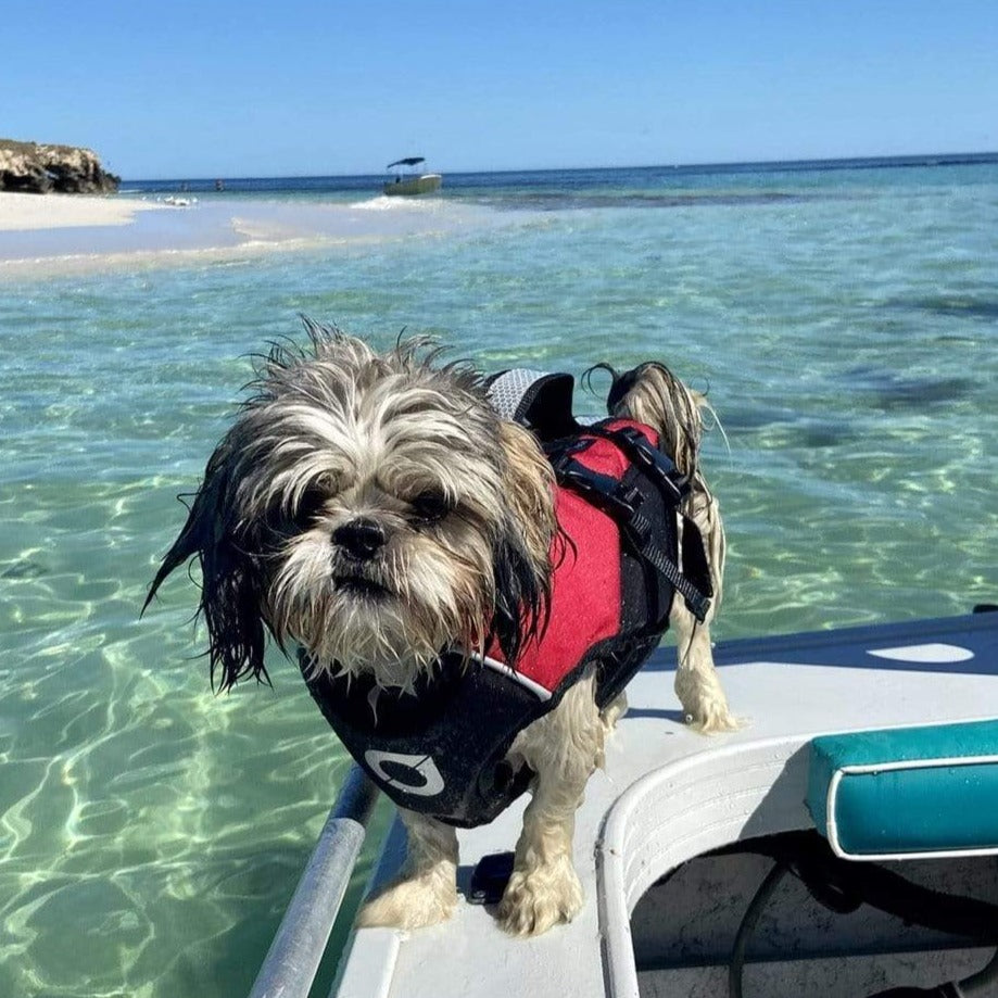 Dog Lifejackets direct from Western Australia. The only Dog Lifejacket with an Enclosed lifting Harness to safely lift your dog from the water and a padded chest panel between the front legs.  Conventional dog lifejackets are open between the front legs, which can cause the heavy head and chest area to sink and fall through that gap - so we closed it with a continuous articulated chest and belly panel.