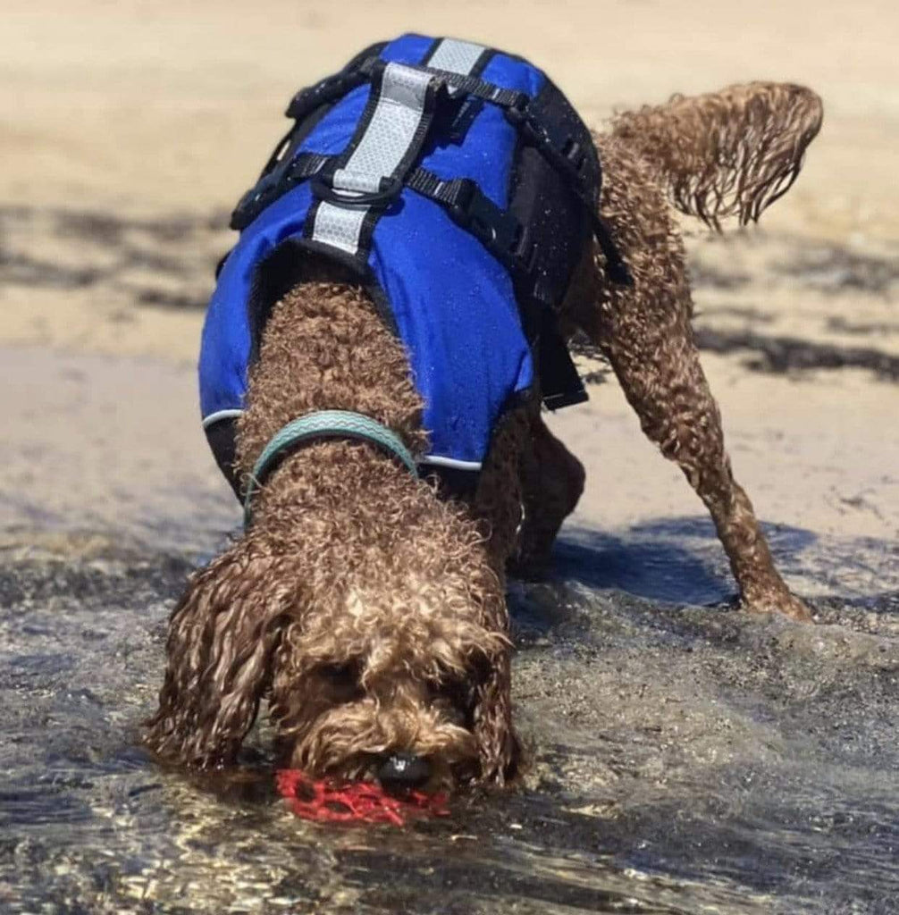 This Dog Lifejacket made originally by D'Fa in New Zealand and now Stunt Puppy in USA. Designed by experts in buoyancy and canine anatomy. A dog lifejacket that uses an enclosed harness design to wrap your dog in a balanced, comfortable and secure flotation so you can retrieve them from the water safely and easily. The only dog lifejacket with full chest support.
