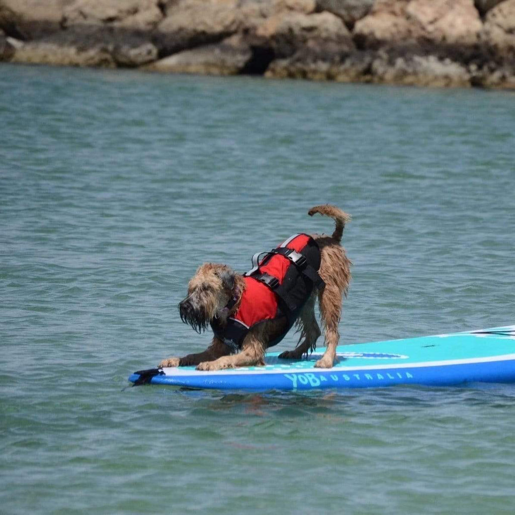 This Dog Lifejacket made originally by D'Fa in New Zealand and now Stunt Puppy in USA. Designed by experts in buoyancy and canine anatomy. A dog lifejacket that uses an enclosed harness design to wrap your dog in a balanced, comfortable and secure flotation so you can retrieve them from the water safely and easily. The only dog lifejacket with full chest support.