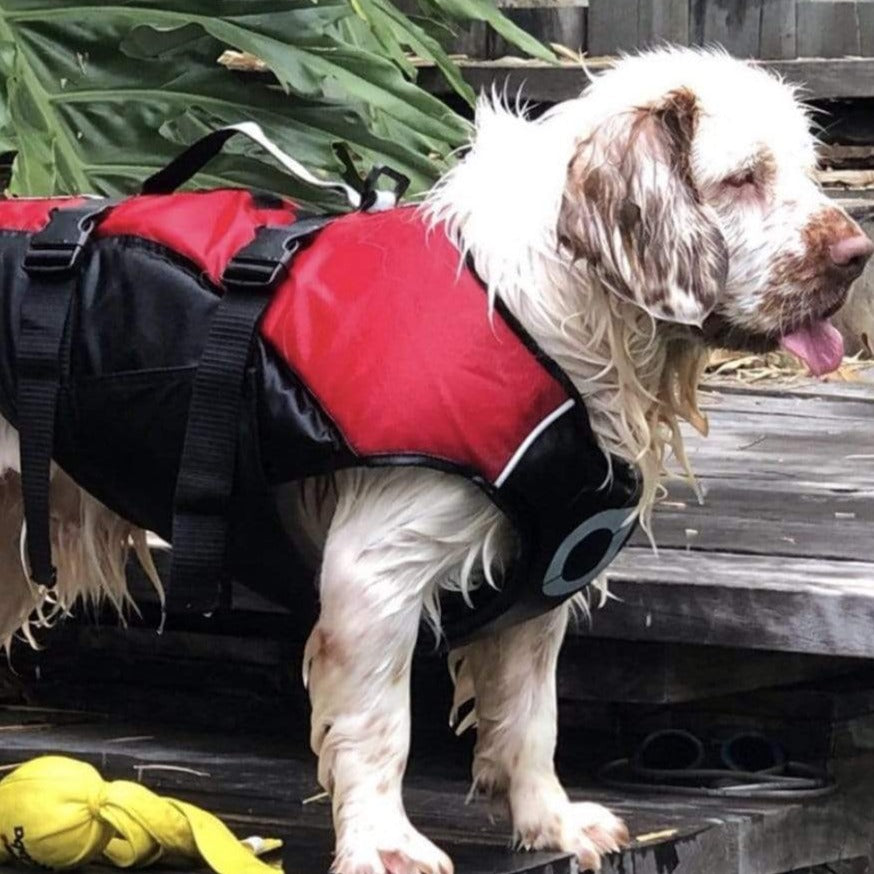 Dog Life Jackets This unique design is the only fully enclosed life jacket for dogs available. Based on experience in designing whitewater gear with the aim of making a human grade life jacket for dogs. No shark fins, no glitter, no gaping hole under the chest, no velcro; just ergonomic fit, balanced buoyancy and a secure lifti