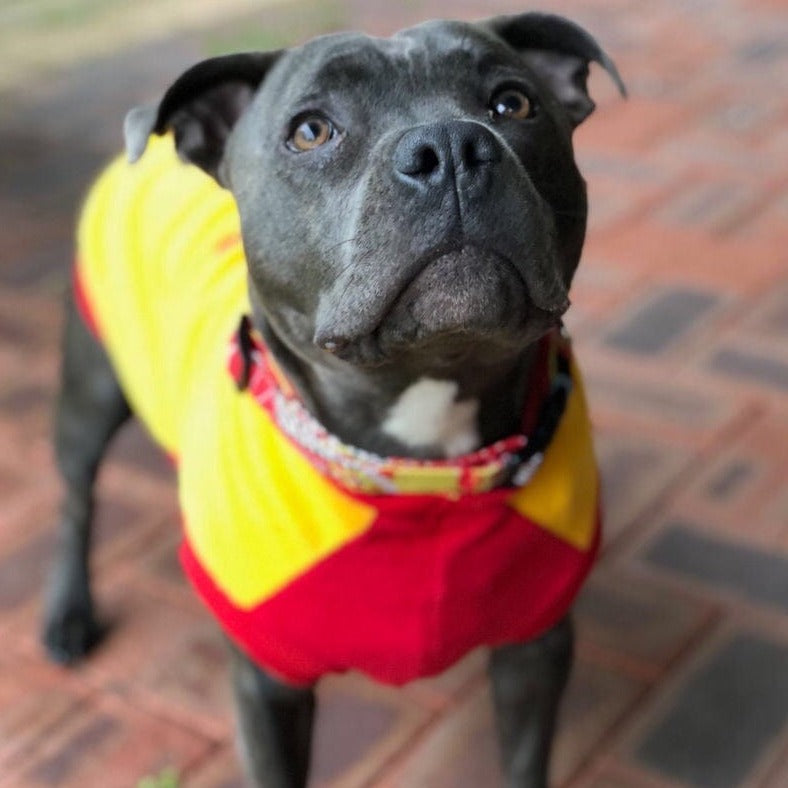 SurfDog Australia Jumpers Fleece Dog Jumper
