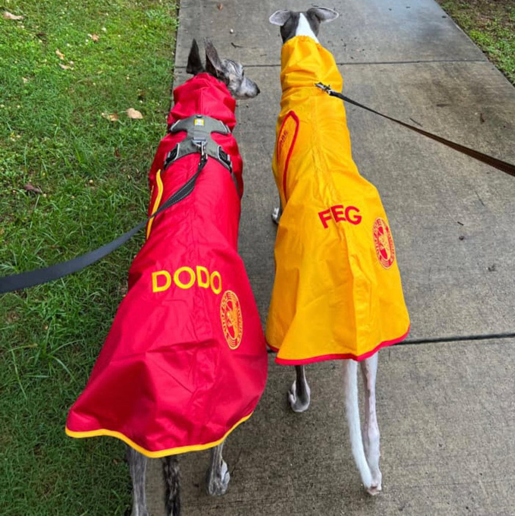 Surf Dog Raincoats DOG RAINCOAT- RAIN