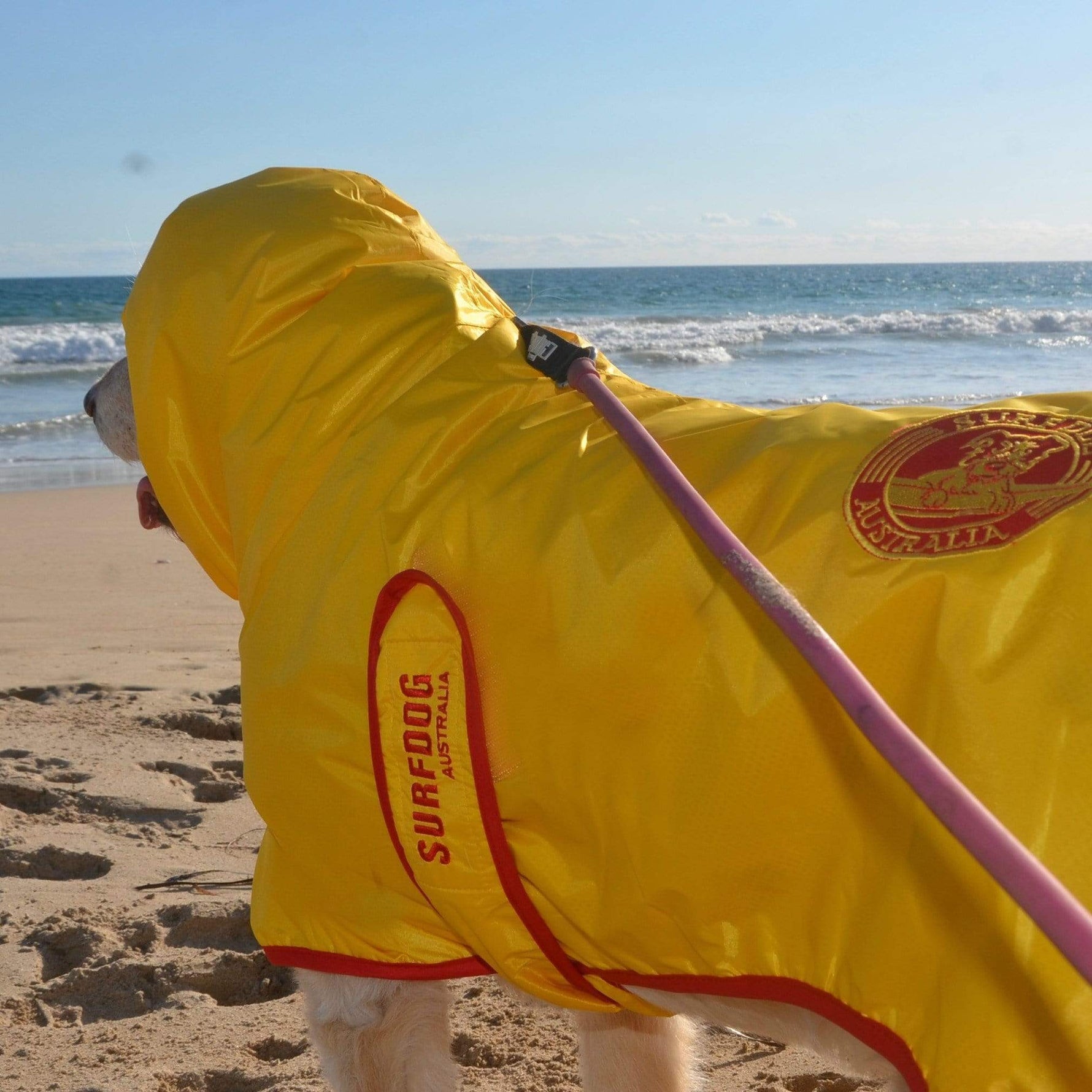 Surf Dog Raincoats Dog Raincoats