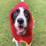 Surf Dog Raincoats Dog Raincoats