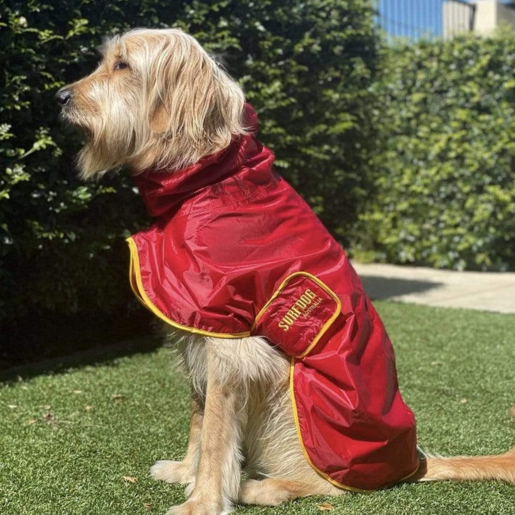 Dog Raincoats for Aussie dogs – Surfdog Australia