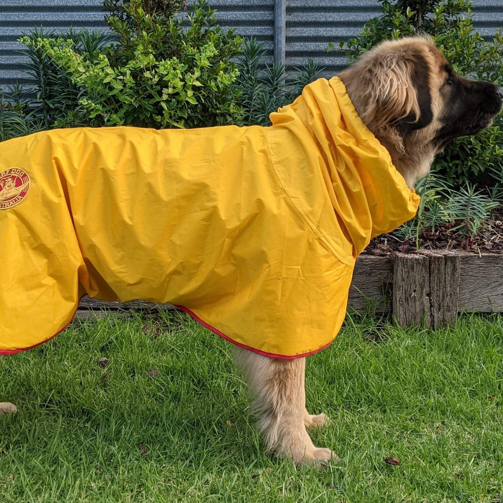 Surf Dog Raincoats Dog Raincoats