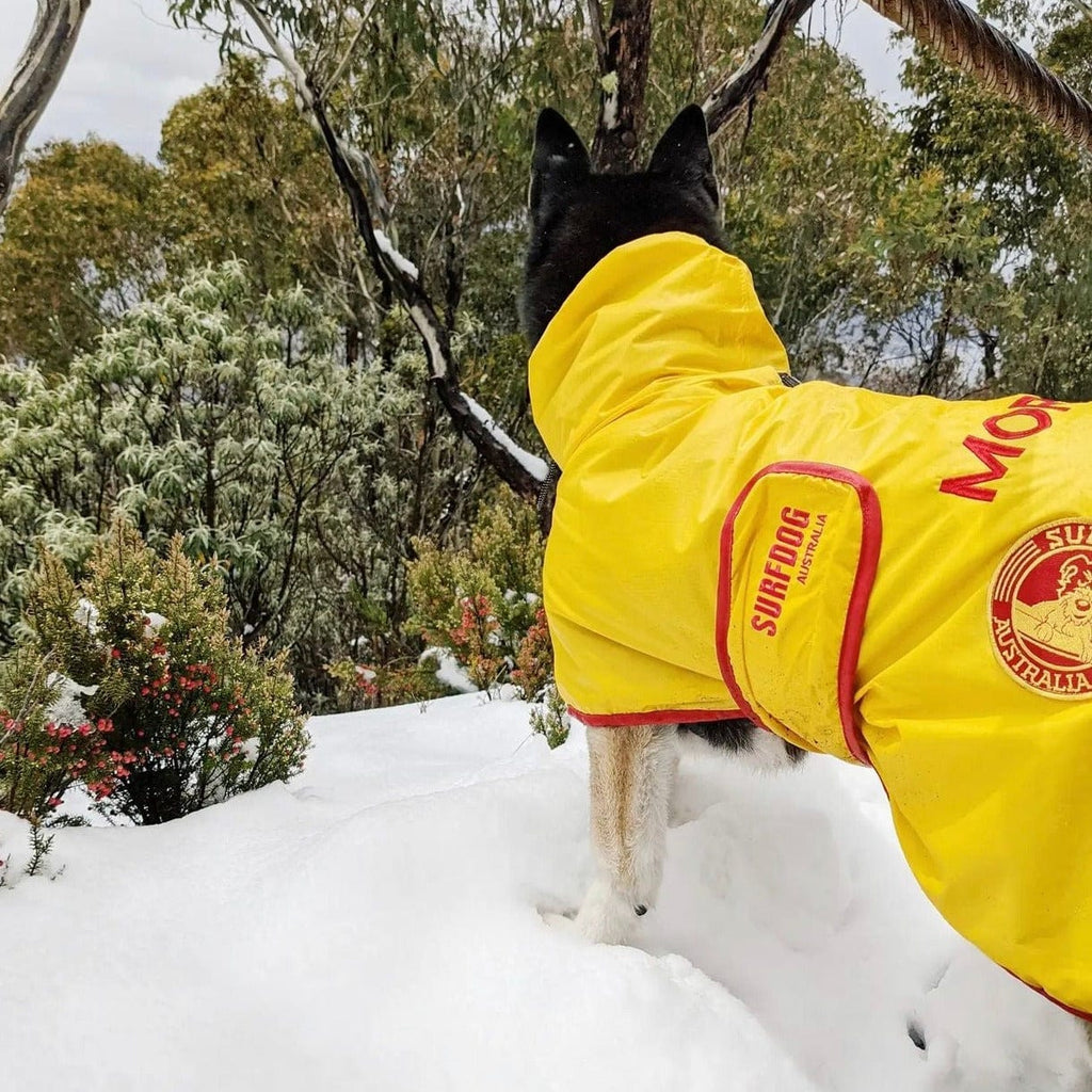 Surf Dog Raincoats Dog Raincoats