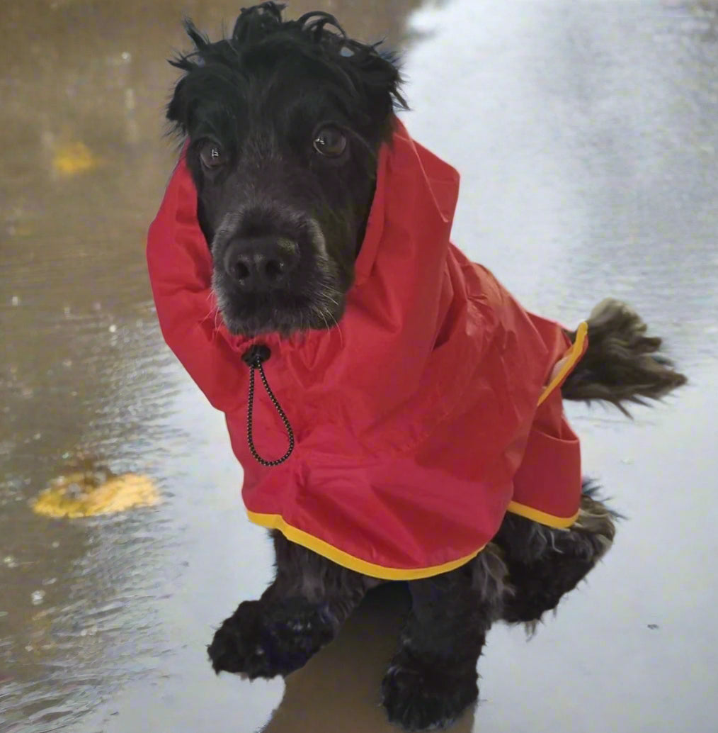 Surf Dog Raincoats DOG RAINCOATS