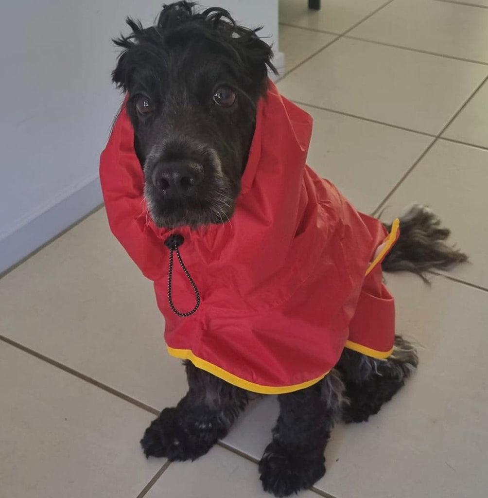 Surf Dog Raincoats DOG RAINCOATS