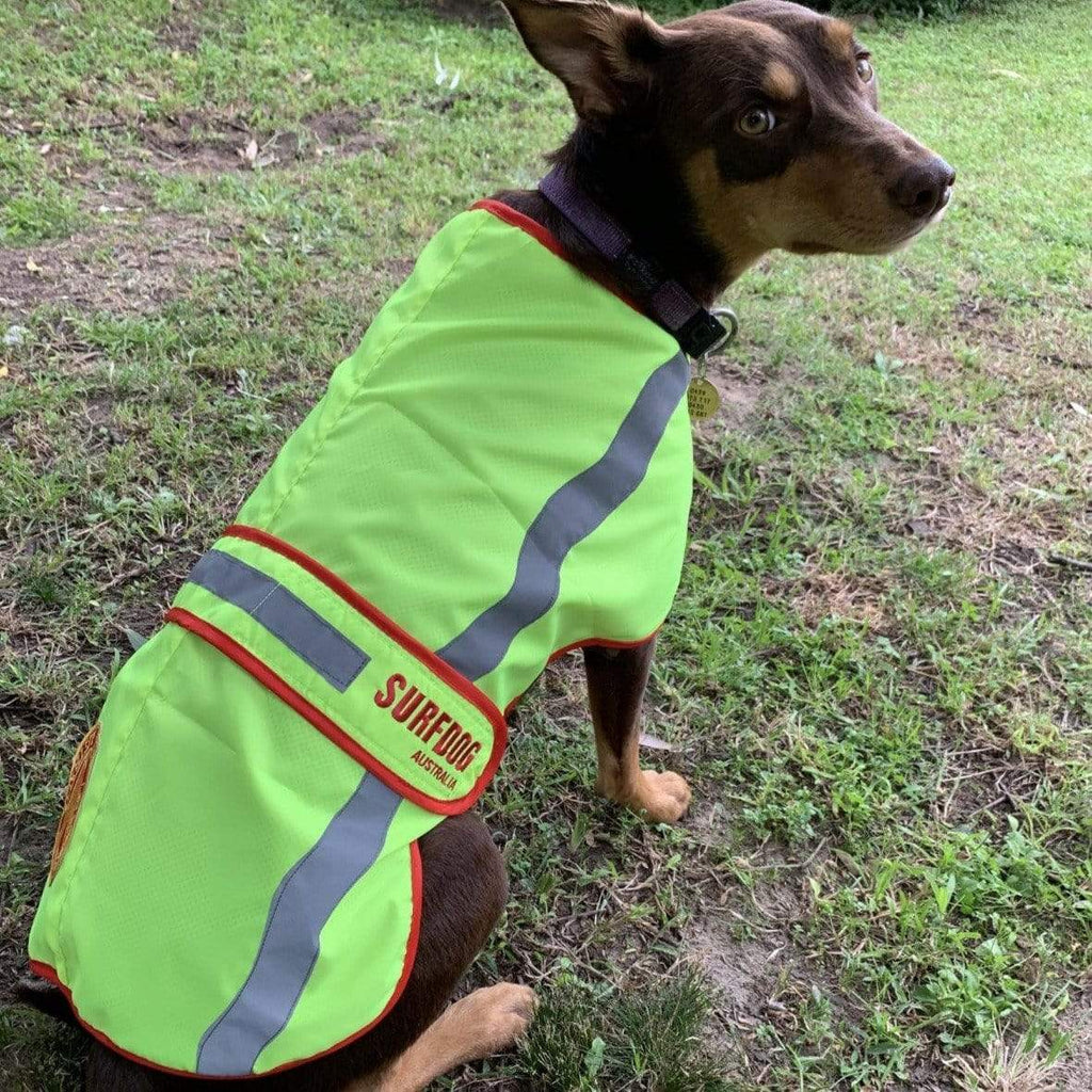 SurfDog Australia Raincoats Dog Coat - Hi Visibility