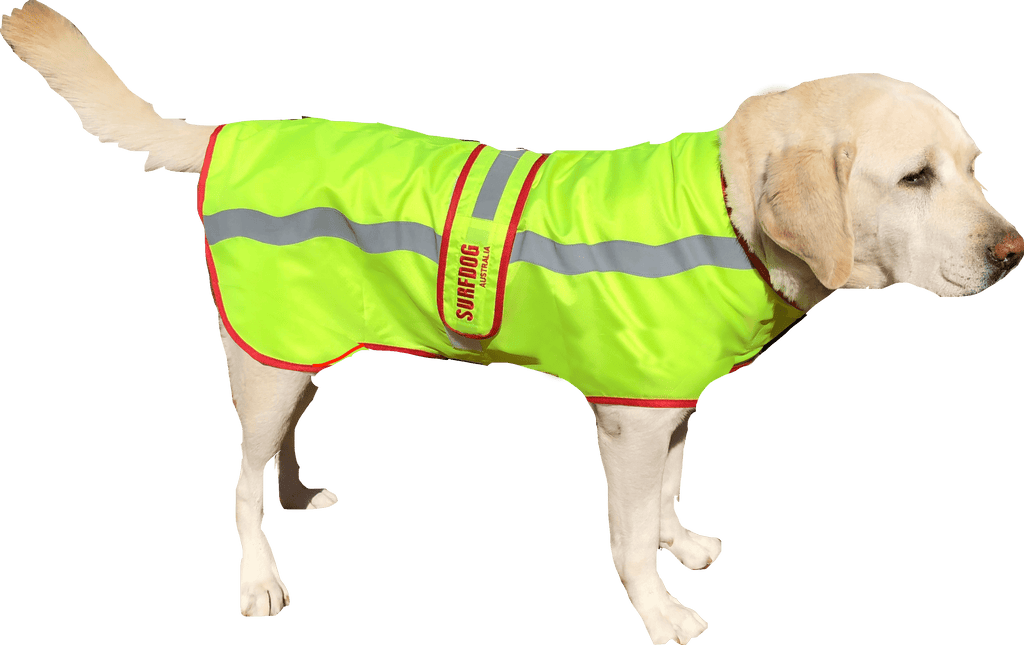SurfDog Australia Raincoats Dog Coat - Hi Visibility