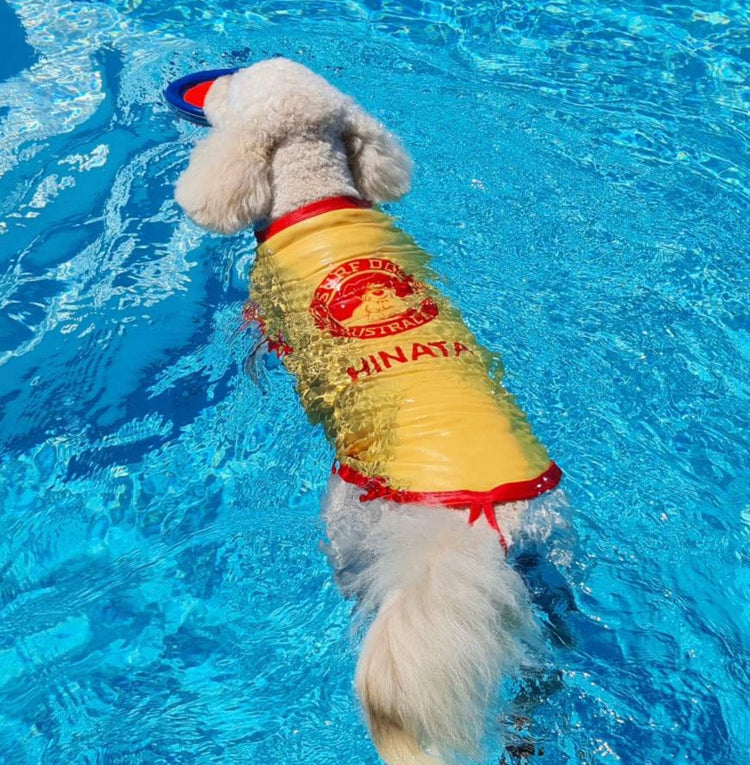 Dog Rashies by Surfdog Australia - UV protection shirts for dogs