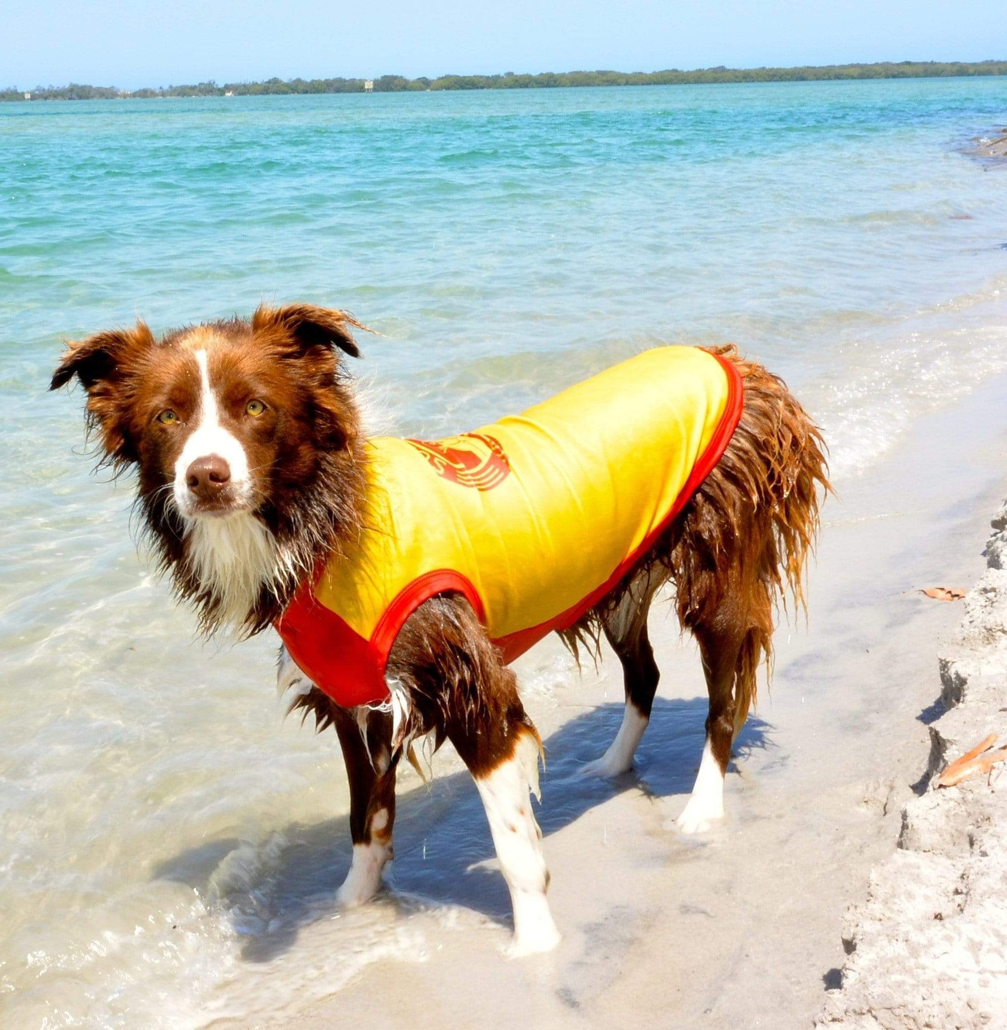 Dog Rashie Vest - UV50+ Sun Protection for Dogs | Surfdog Australia