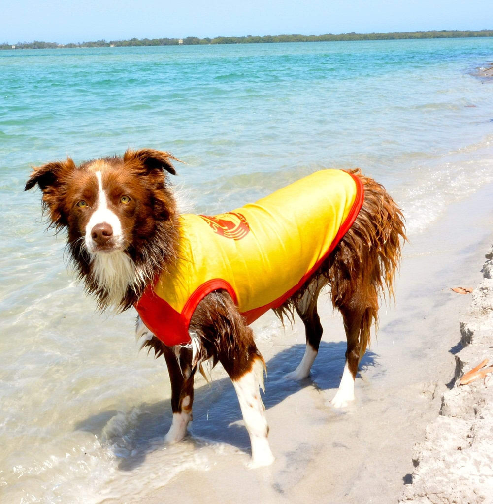  Sun Protection for dogs - Dog Rashies Dog Rashies sun protection for dogs. Surfdog Dog Rashies, tested and made around Aussie dogs for perfect fit and comfort. 