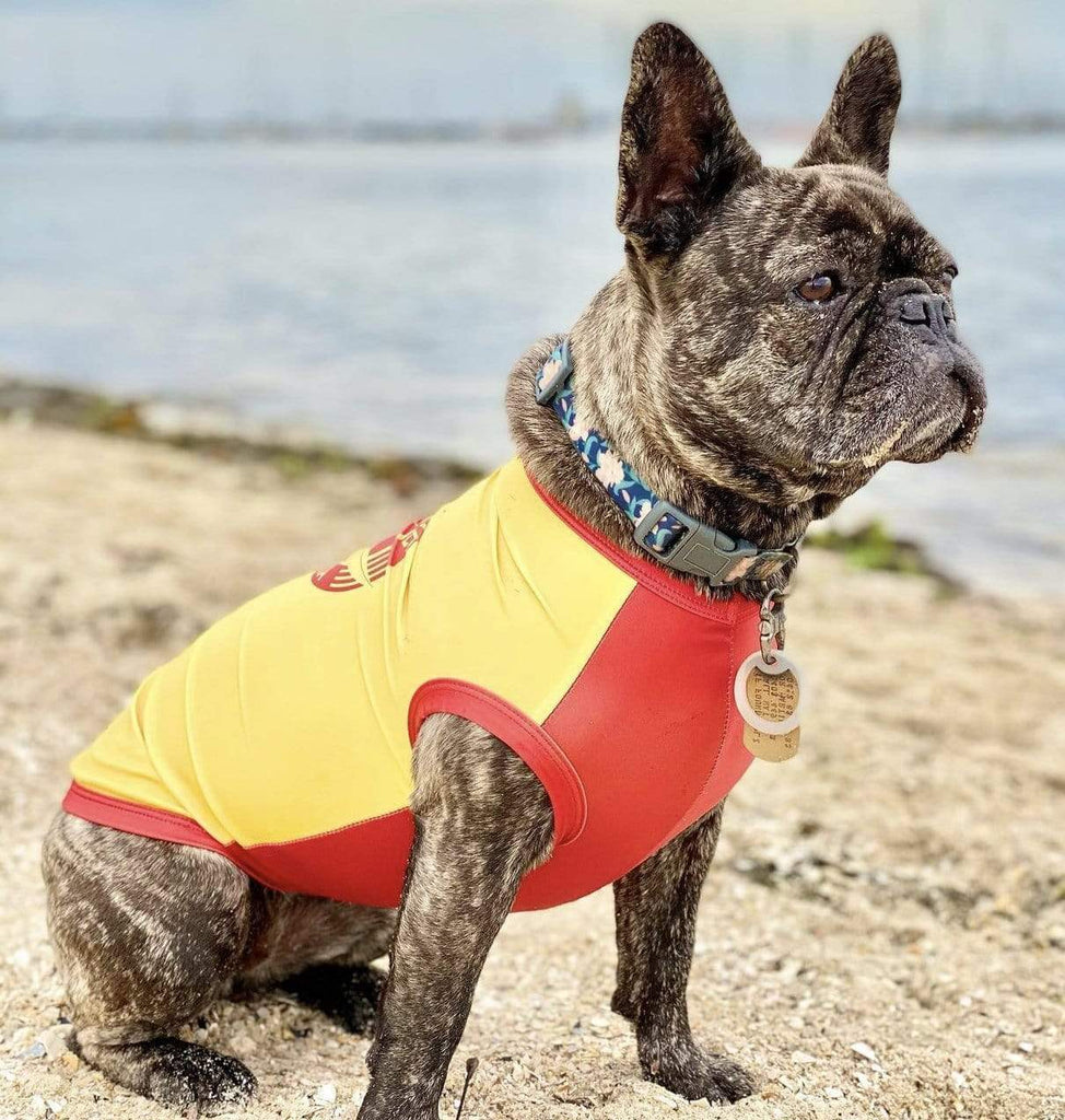 Surf Dog Shirts Dog Rashies - Sun Protection